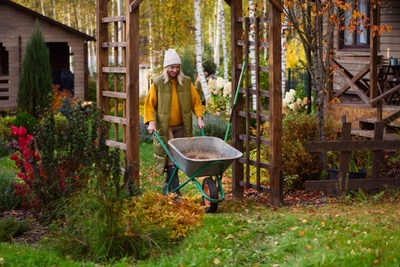 15 tuintips voor november